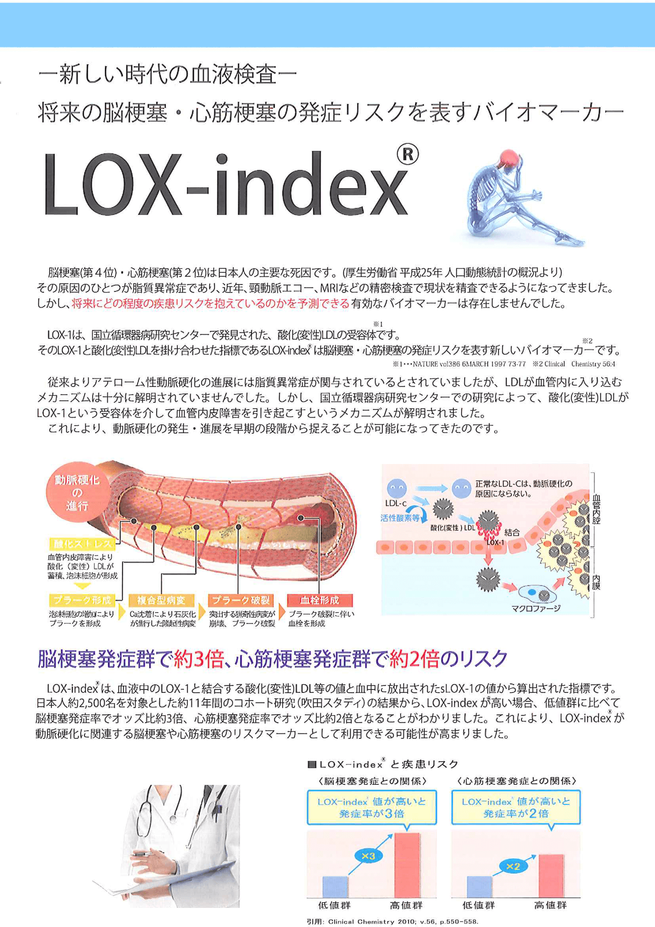 LOX-index説明チラシ